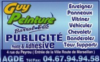 GUY PEINTURE